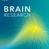 Brain Research: Volume 1798 to Volume 1821 2023 PDF