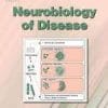 Neurobiology of Disease: Volume 133 to Volume 146 2020 PDF