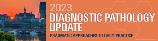 2023 Diagnostic Pathology Update: Pragmatic Approaches to Daily Practice