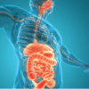 Gastroenterology and Hepatology Board Review 2023 (Course)