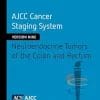 AJCC Cancer Staging System: Neuroendocrine Tumors of the Colon and Rectum (Version 9 of the AJCC Cancer Staging System) (PDF)
