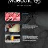 VideoGIE: Volume 8 (Issue 1 to Issue 12) 2023 PDF