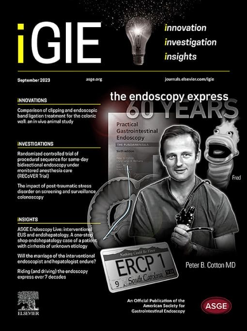 iGIE: Volume 2 (Issue 1 to Issue 4) 2023 PDF