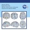 Atlas Of Pediatric Head And Neck And Skull Base Surgery (EPUB)