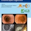 Fotobiomodulação No Tratamento De Feridas: Evidências Para A Atuação Do Enfermeiro (Portuguese Edition) (EPUB)