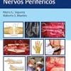 Manual De Próteses Auditivas (Portuguese Edition) (EPUB)