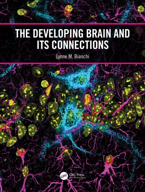 The Developing Brain And Its Connections (EPUB)