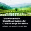 Transformations Of Global Food Systems For Climate Change Resilience: Addressing Food Security, Nutrition, And Health (PDF)