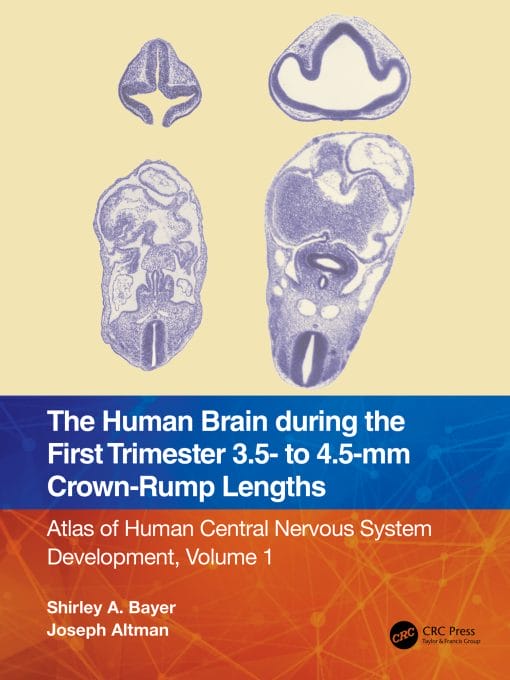 The Human Brain During The First Trimester 3.5- To 4.5-Mm Crown-Rump Lengths: Atlas Of Human Central Nervous System Development, Volume 1 (EPUB)