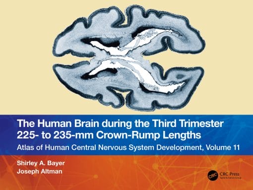 The Human Brain During The Third Trimester 225– To 235–Mm Crown-Rump Lengths: Atlas Of Central Nervous System Development, Volume 11 (PDF)