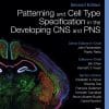 Patterning And Cell Type Specification In The Developing CNS And PNS: Comprehensive Developmental Neuroscience, 2nd Edition (EPUB)