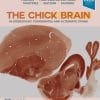 The Chick Brain In Stereotaxic Coordinates And Alternate Stains: Featuring Neuromeric Divisions And Mammalian Homologies, 2nd Edition (EPUB)