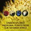 The Therapeutic Properties Of Medicinal Plants: Health-Rejuvenating Bioactive Compounds Of Native Flora (EPUB)