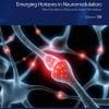 Epigenetics: International Review Of Neurobiology, Volume 156 (EPUB)