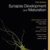 Synapse Development And Maturation: Comprehensive Developmental Neuroscience (EPUB)
