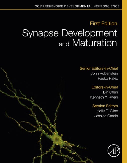 Synapse Development And Maturation: Comprehensive Developmental Neuroscience (EPUB)