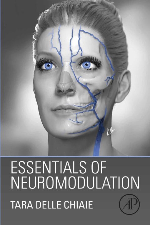 Essentials Of Neuromodulation (EPUB)