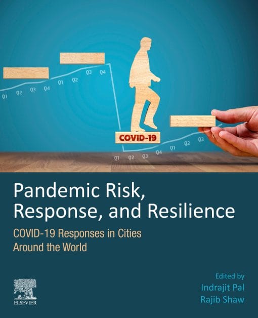 Pandemic Risk, Response, And Resilience: COVID-19 Responses In Cities Around The World (EPUB)