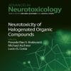 Neurodevelopmental Disorders: Comprehensive Developmental Neuroscience (EPUB)