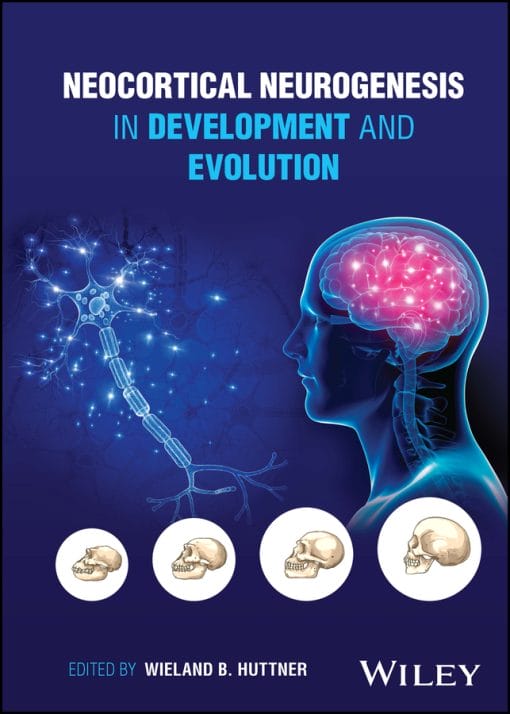 Neocortical Neurogenesis In Development And Evolution (PDF)