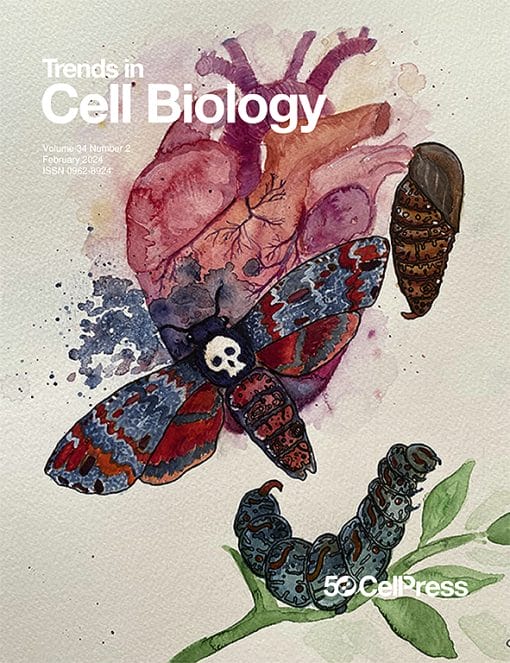 Trends in Cell Biology: Volume 34 (Issue 1 to Issue 2) 2024 PDF
