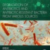 Degradation Of Antibiotics And Antibiotic-Resistant Bacteria From Various Sources (PDF)