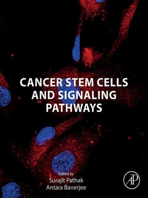 Cancer Stem Cells And Signaling Pathways (EPUB)