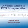 A Visual Guide to ECG Interpretation, 3rd Edition  (EPUB)