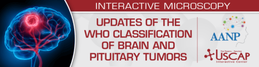 Updates of the WHO Classification of Brain and Pituitary Tumors 2024