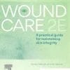 Wound Care: A Practical Guide For Maintaining Skin Integrity, 2nd Edition (PDF)